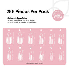 Beetles 12-size array organized display for precise finger matching