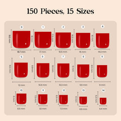 beetles size chart and labeled nails showing 15 sizes for quick fit