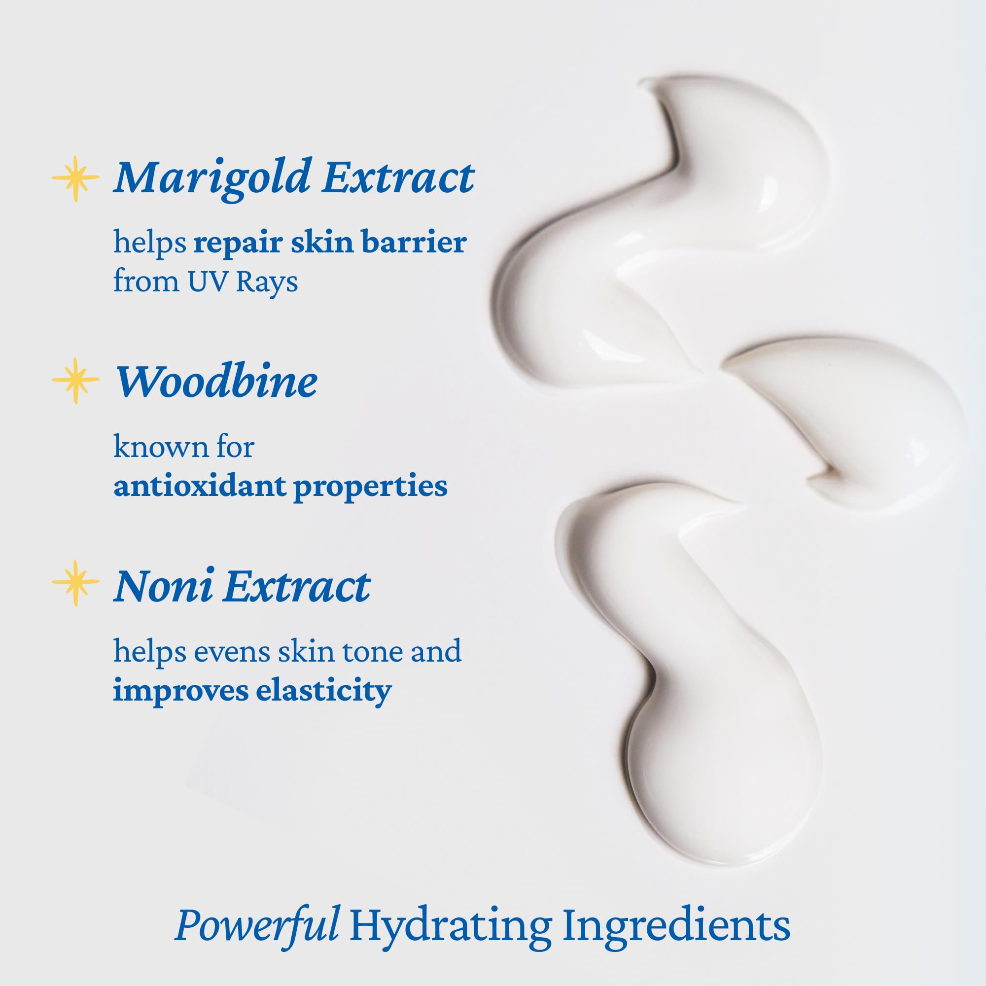 belif marigold and noni extracts highlighting botanical hydration benefits