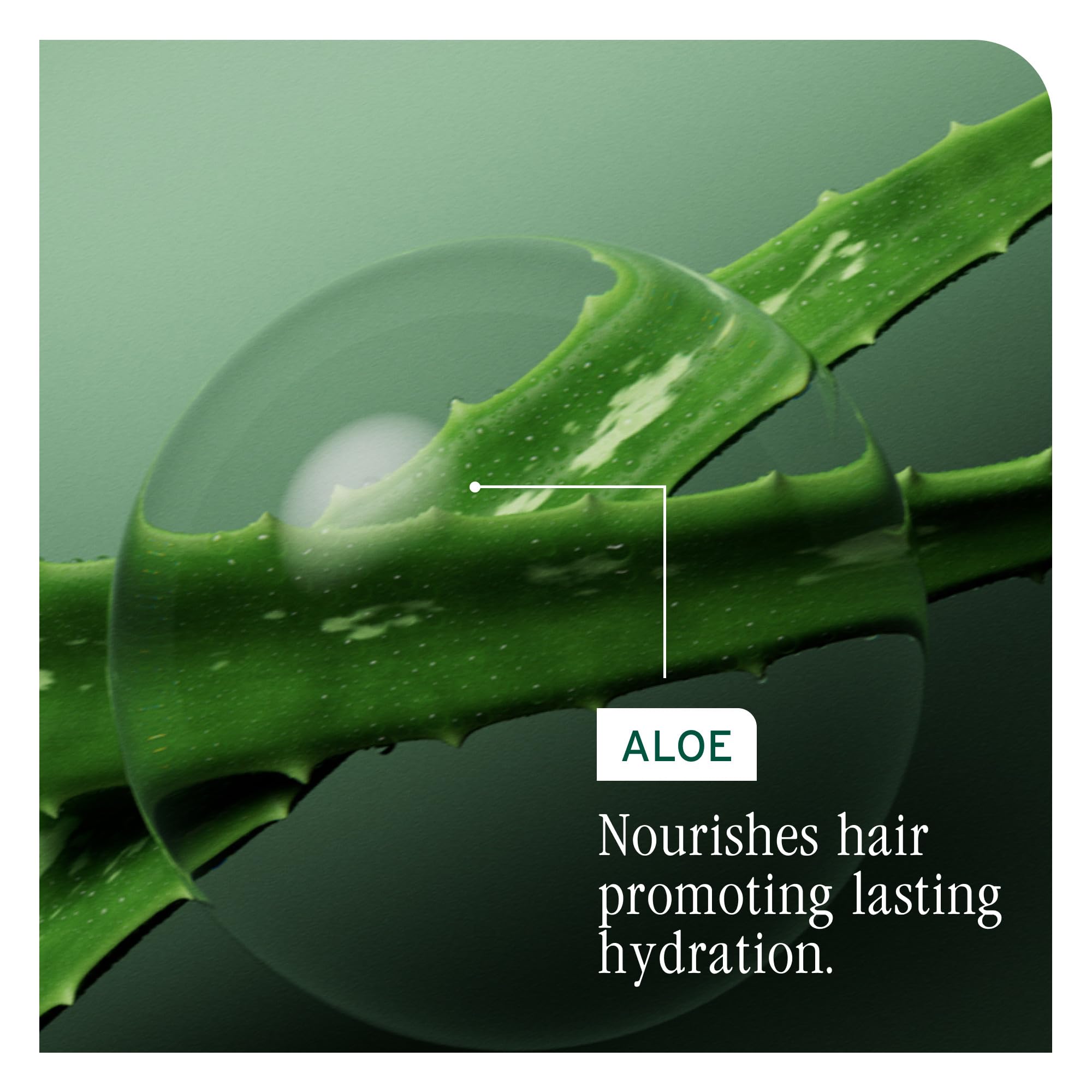 Biolage before and after hair comparison showing reduced frizz and more shine