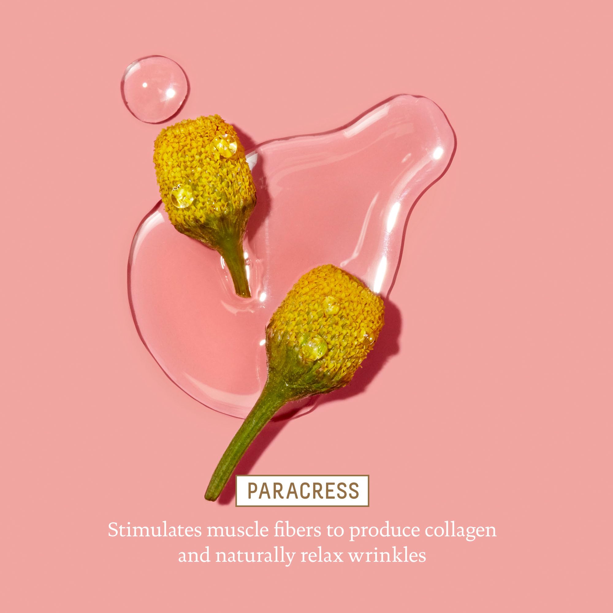 BIOSSANCE pink marine algae close-up showing smoothing ingredient benefit