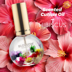 Blossom hibiscus close-up of dried flower pieces inside bottle highlighting natural decor