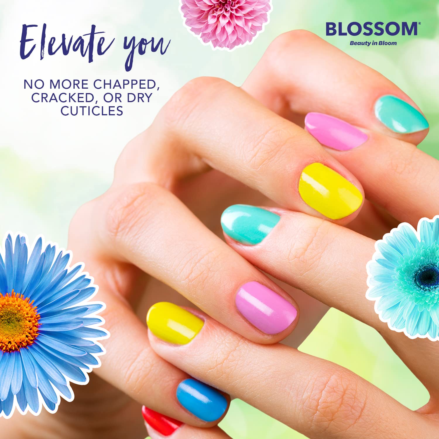 Blossom oil drop on skin showing fast-absorbing, non-greasy finish benefit