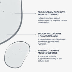 Blueprint Bryan Johnson NMN and SFC ingredient visualization emphasizing firming support benefit