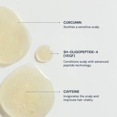 Blueprint Bryan Johnson shampoo in hand for size and scale, ideal travel-friendly benefit