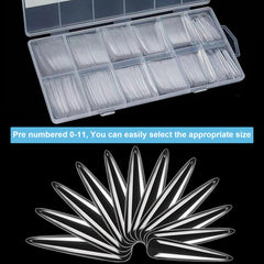 BlueZOO 12 sizes fanned to show size options and fit
