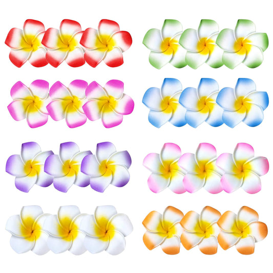 BluOcnMkt front pack view showing 24 colorful plumeria clips and convenience