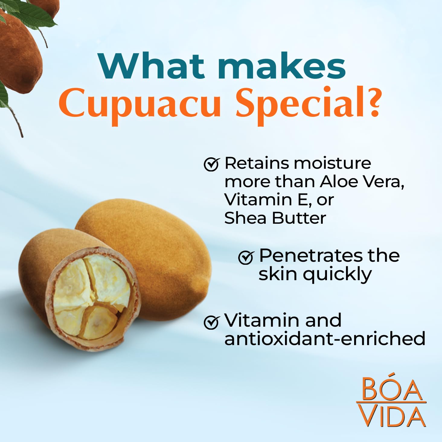 Bóa Vida cupuaçu butter ingredient image indicating deep hydration benefits
