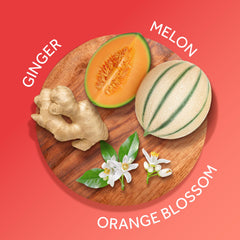 Body Fantasies open jar close-up of creamy texture demonstrating fast absorption benefit