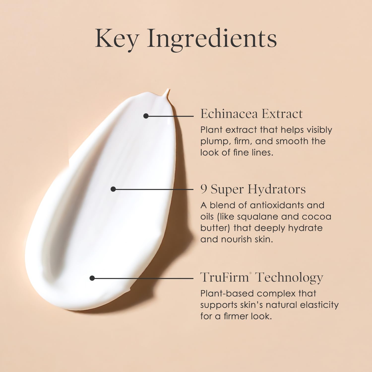 BODY FIRM ingredients visual with oils and botanicals illustrating nourishment and lipids