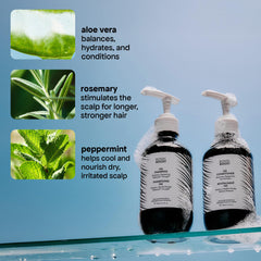 BondiBoost active ingredients rosemary and saw palmetto arrangement, highlights botanical support