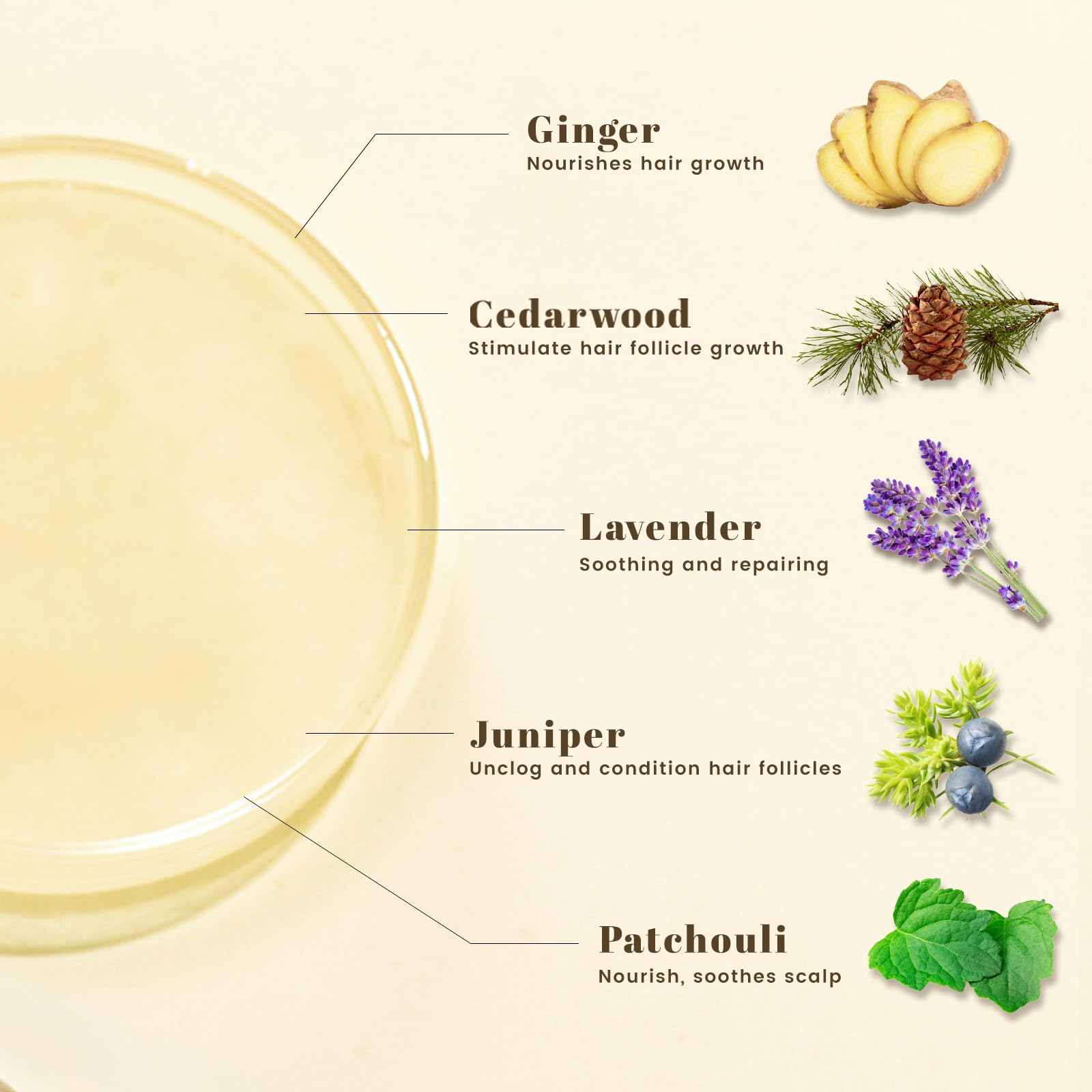 BOTANQUIL label showing herbal oils and plant extracts for informed purchase
