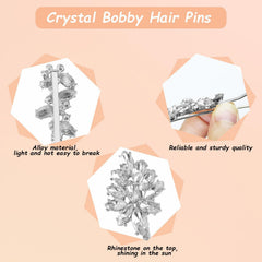 BOYIVI hair clip next to coin for size comparison showing compact portability