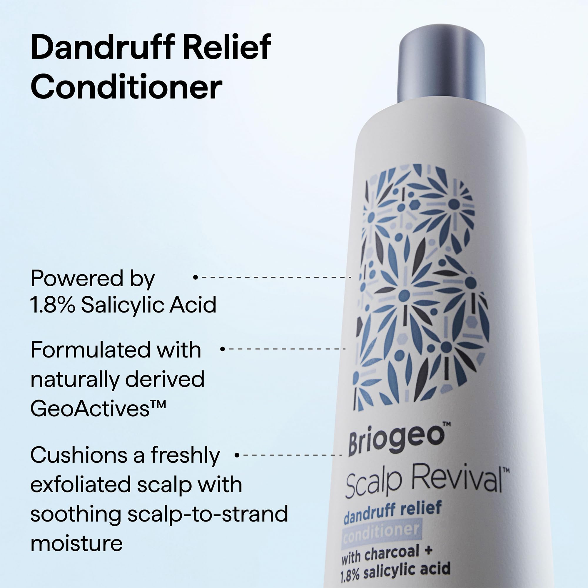 Binchotan charcoal ingredient image with Briogeo showing detox benefits