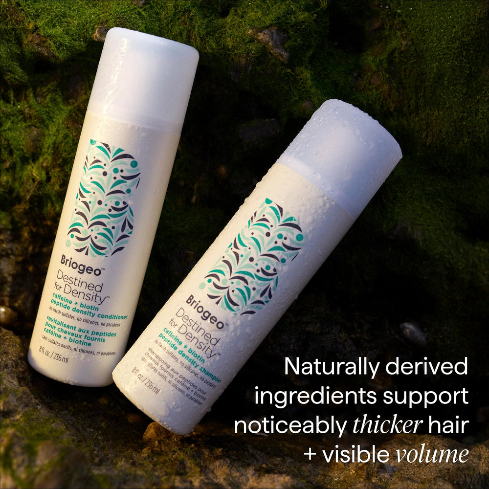Briogeo used on curly hair displaying improved volume and defined, bouncy results