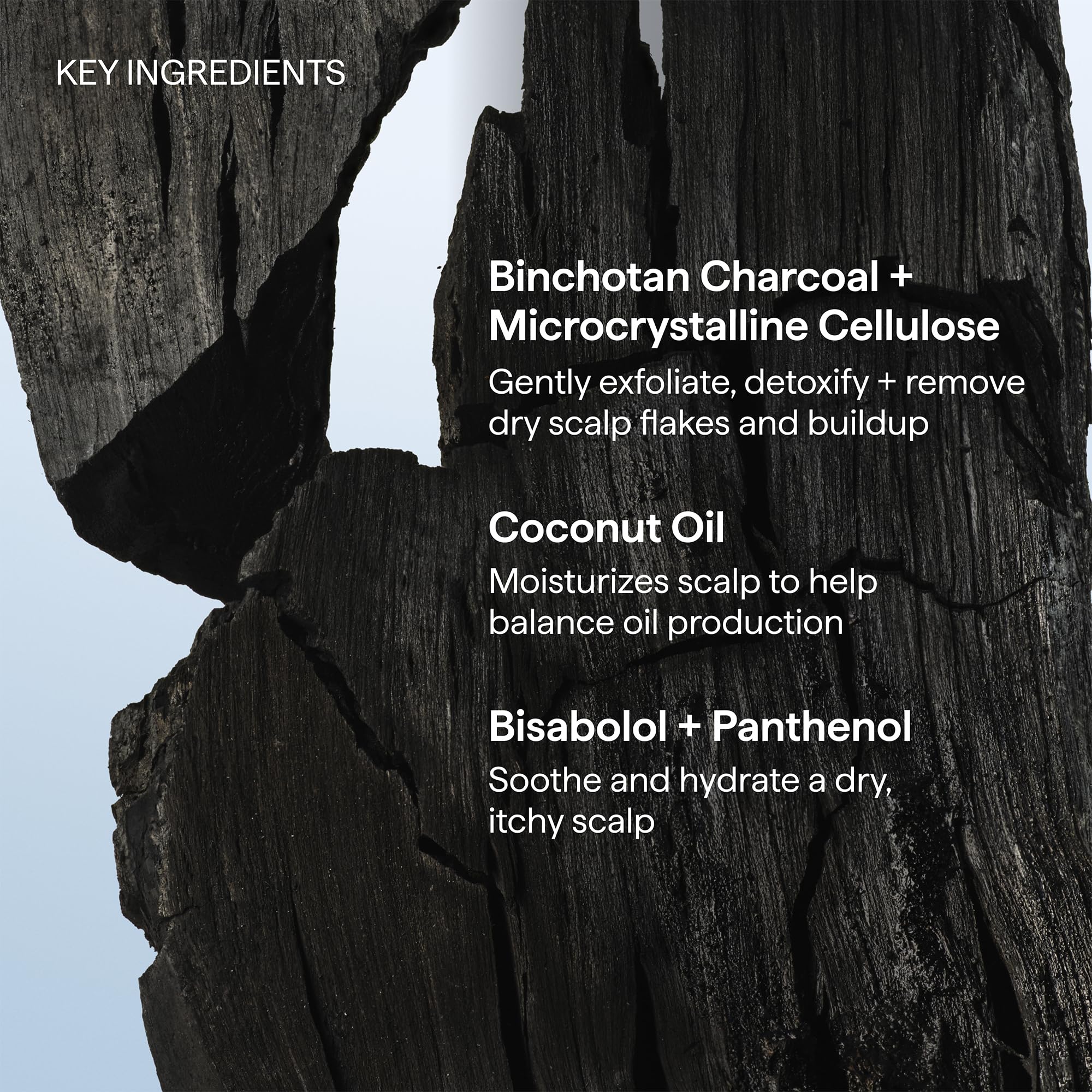 Coconut and charcoal ingredients beside Briogeo bottle signaling hydration