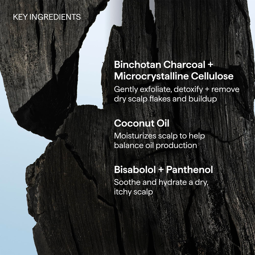 Coconut and charcoal ingredients beside Briogeo bottle signaling hydration
