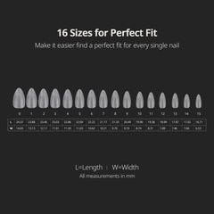 BTArtboxnails display of 16 sizes arranged for precise sizing options