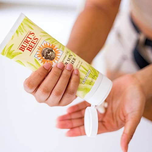 Burt's Bees tube close-up showing cap and fast-absorbing lotion texture benefit