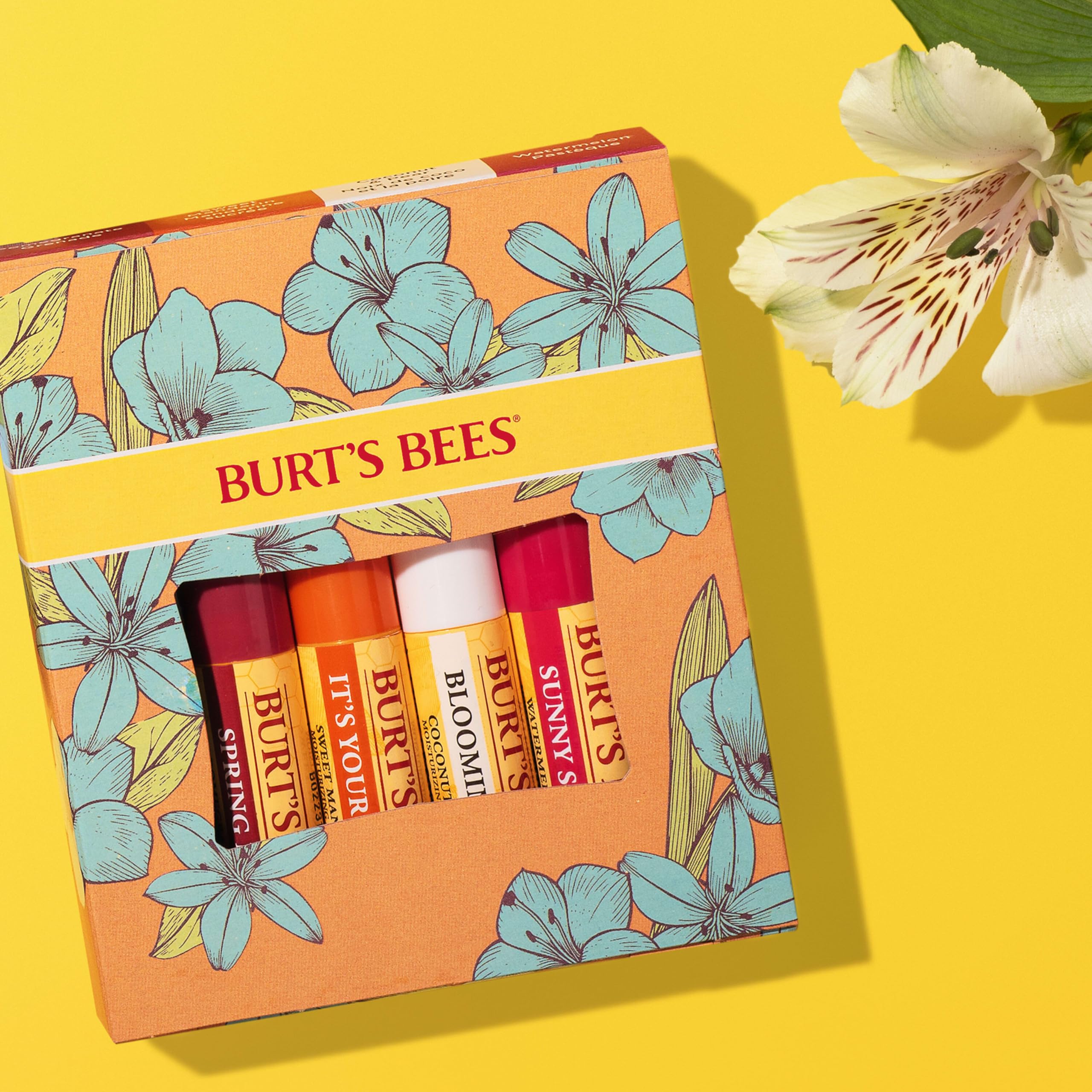 Burt's Bees cap and label close-up showing readable flavor names and convenience