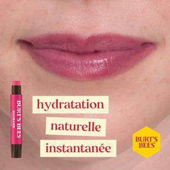 Burt's Bees holiday gift box staged to highlight seasonal presentation