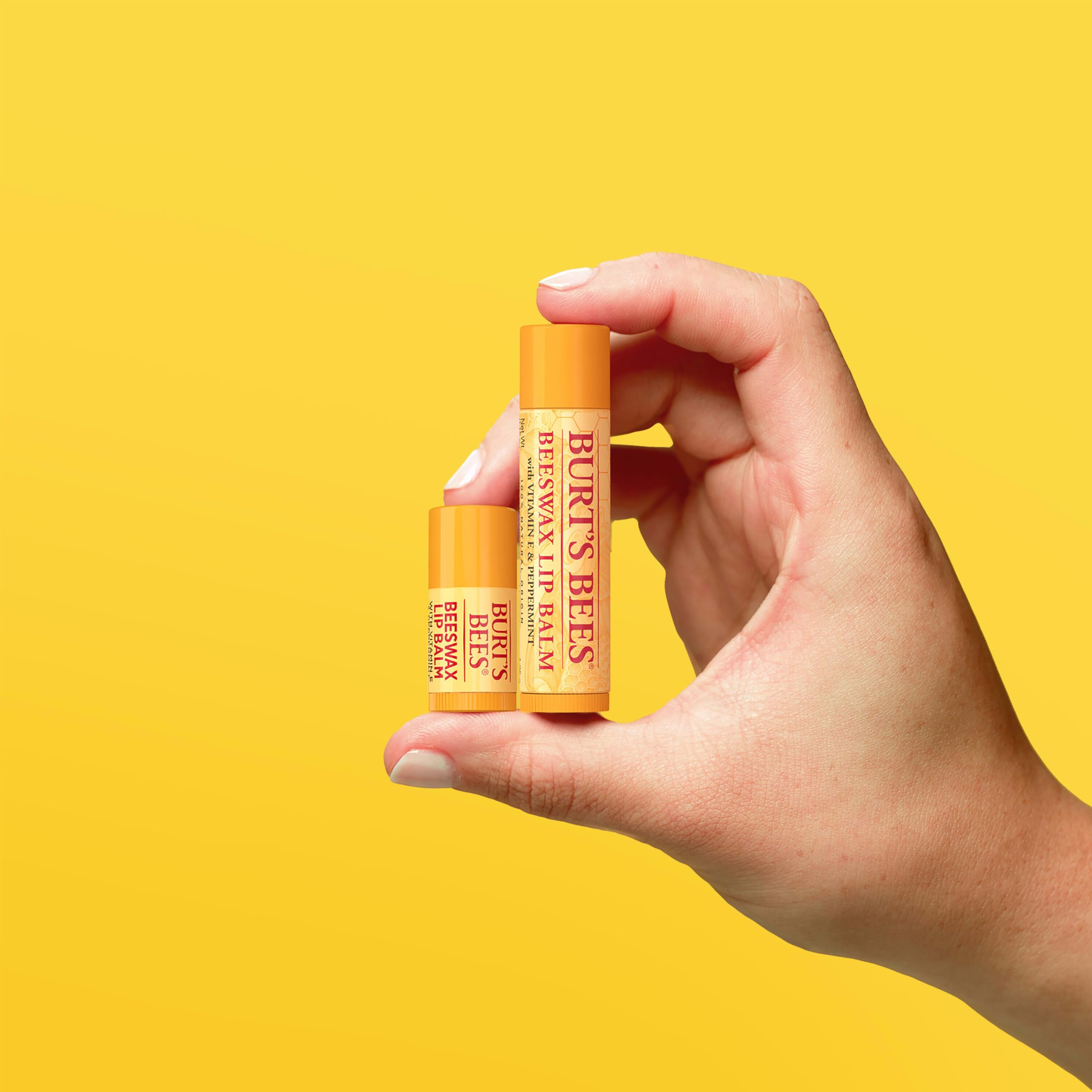 Burt's Bees mini balm next to coin showing compact travel-friendly size