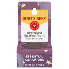 Burt's Bees jar front view showing restorative overnight lip treatment and benefits
