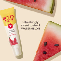 Burt's Bees tube tucked inside purse showing on-the-go lip care convenience