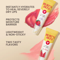 Burt's Bees watermelon tube close-up showing label and easy application benefit