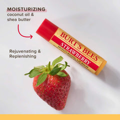 Burt's Bees four-pack arranged to show value pack convenience for replenishing