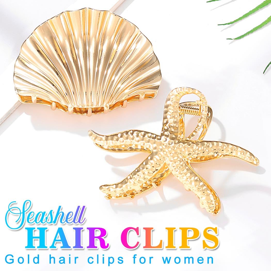 CAKURE close-up of seashell texture highlighting detailed pattern and polished look