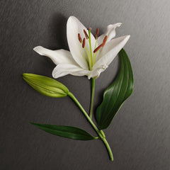 Calvin Klein Eternity lotion texture on skin highlighting smooth hydration