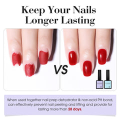 CANNI primer brush applying a smooth stroke for even bonding