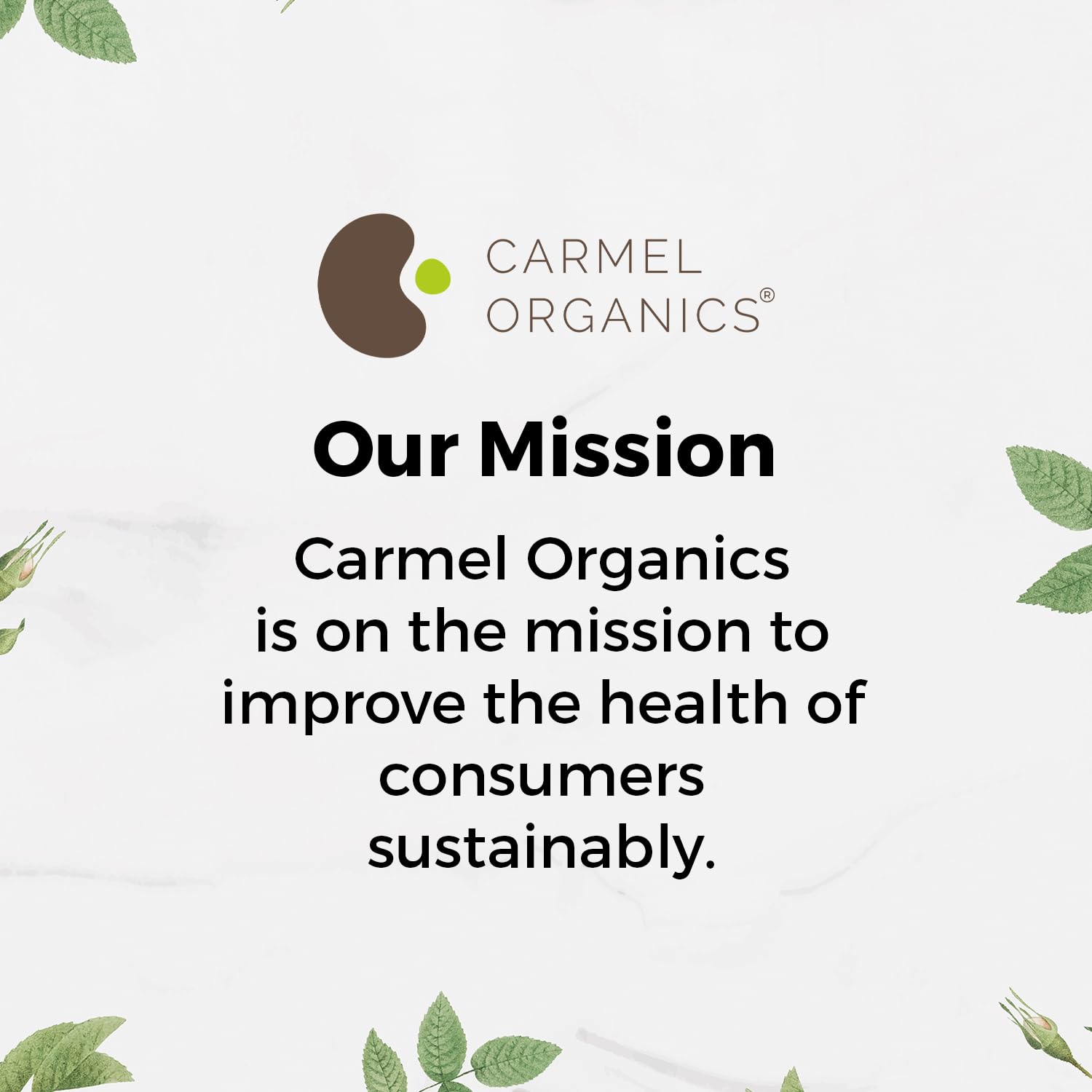 CARMEL ORGANICS finished oil bottle in bathroom setting for everyday hair care