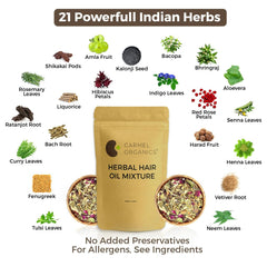 CARMEL ORGANICS texture of powdered herbs highlighting easy infusion mixing
