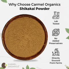 Model applying CARMEL ORGANICS shikakai paste to scalp demonstrating gentle cleanse