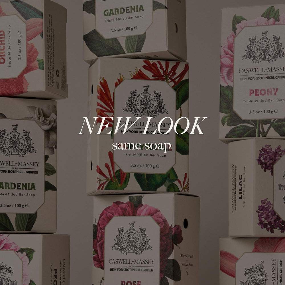 Caswell-Massey gift box styled on surface presenting ready-to-give luxury