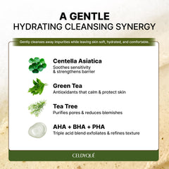 CELDYQUE label close-up highlighting AHA BHA PHA ingredients