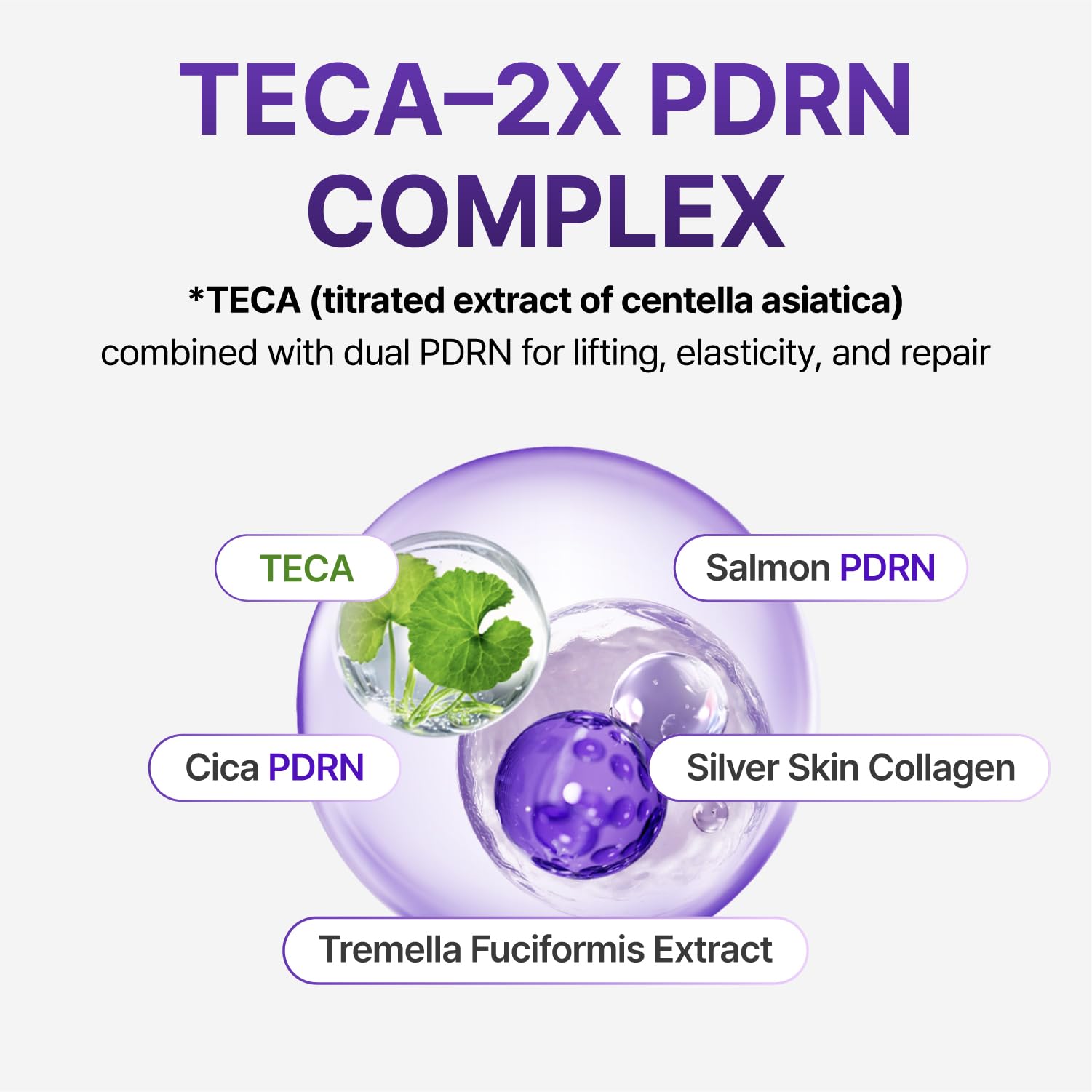 CENTELLIAN 24 TECA ingredient graphic showing soothing plant benefits