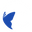 Cerva Australia logo