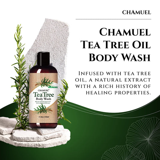 Chamuel pump dispensing rich lather for efficient concentrated use