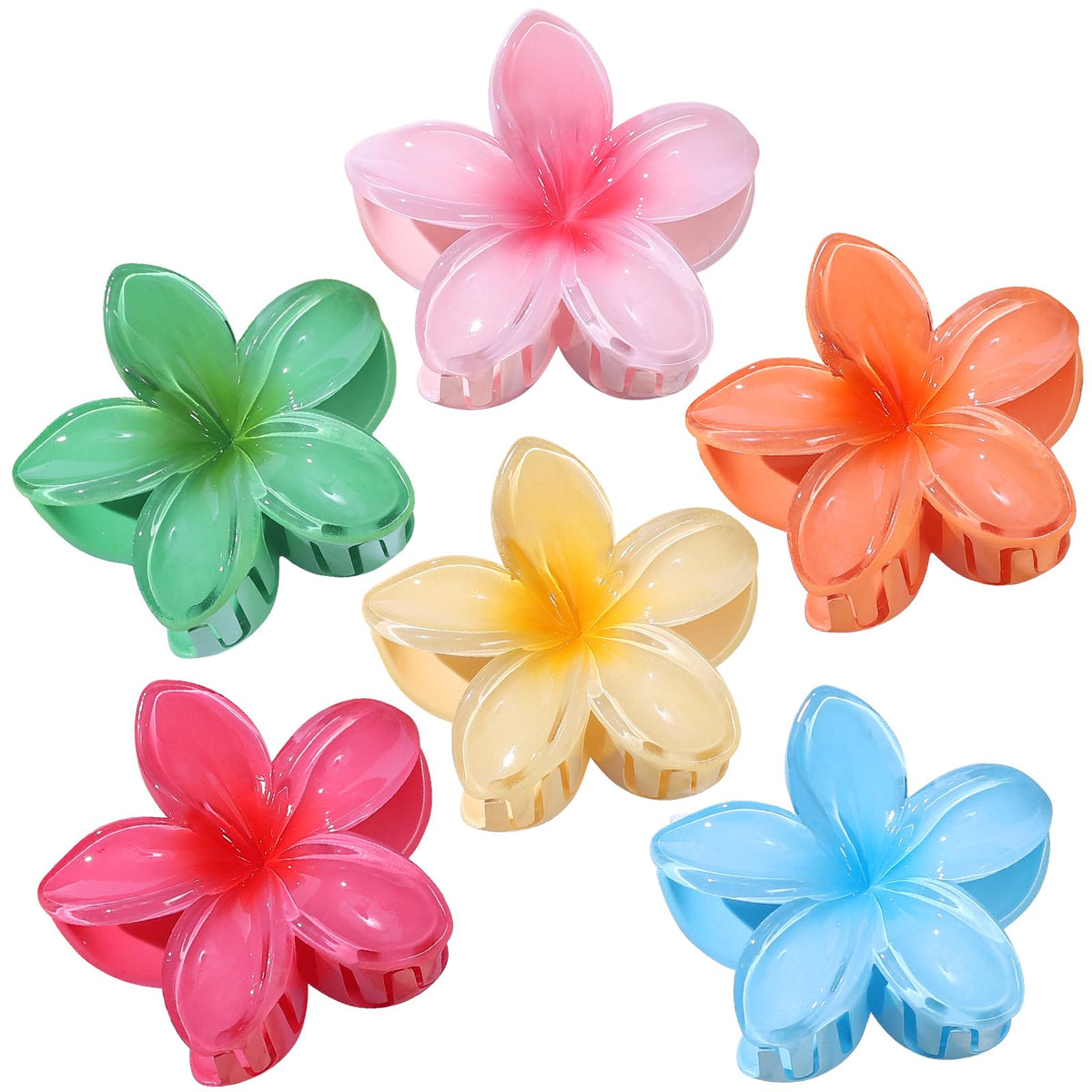 CHANDAT front view of six colorful blossom clips showing vibrant vacation style
