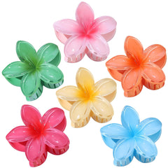 CHANDAT front view of six colorful blossom clips showing vibrant vacation style