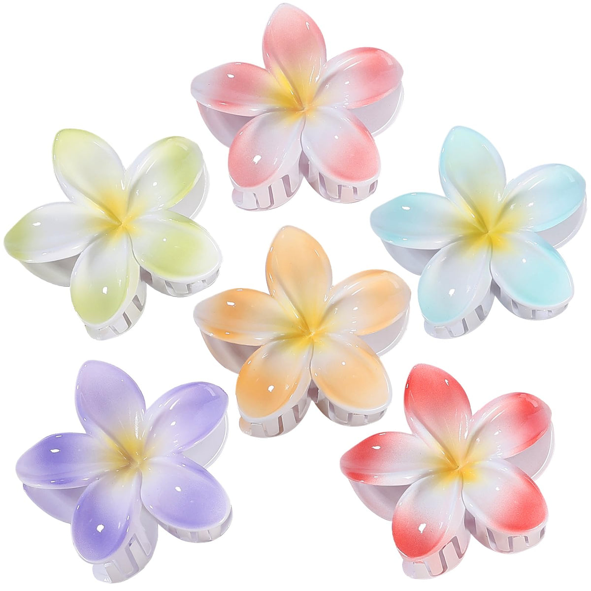 CHANDAT front view of six flower clips showing colorful vacation-ready look