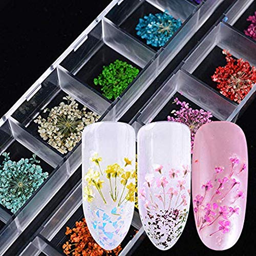 CHANGAR organized compartments protecting each flower color for easy access