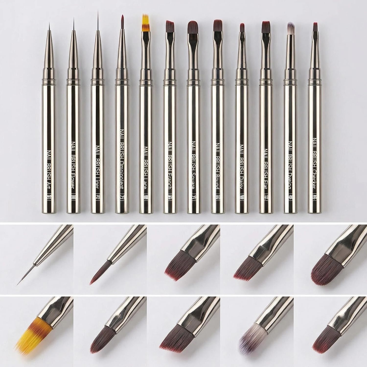 CHEMAILON brushes beside ruler showing size comparison for accurate selection