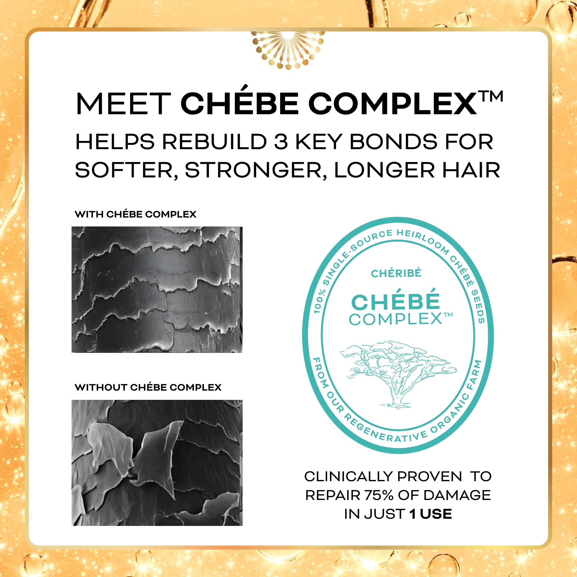 Cheribe Chebe seed extract close-up highlighting natural strengthening power