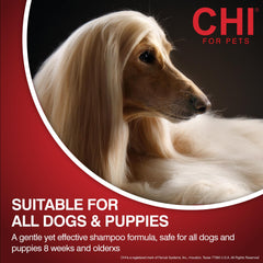 CHI used on a puppy demonstrating safe formulation for young dogs