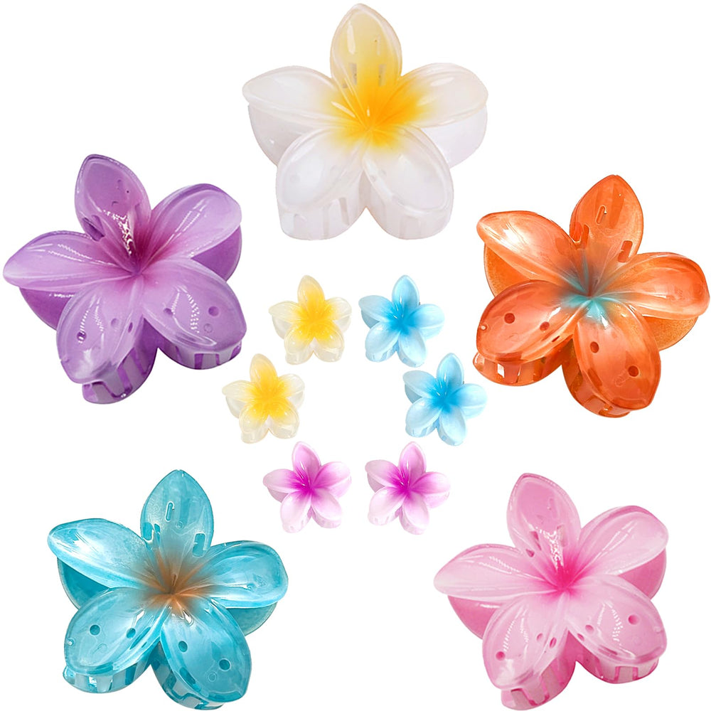 Cician front packaging showing colorful flower clips and secure box, vibrant and organized
