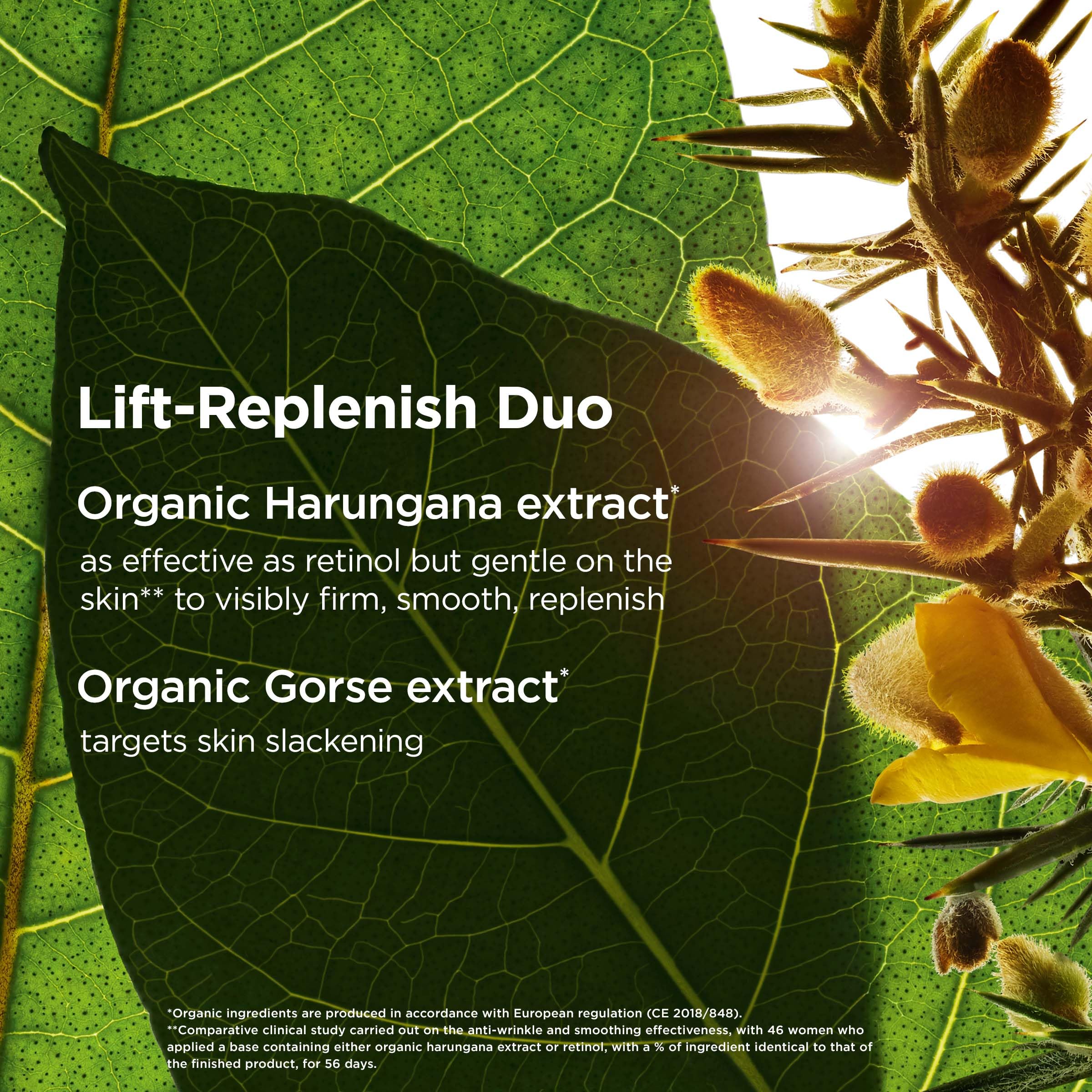Clarins side label detail highlighting ingredients and benefits for targeted anti-aging care